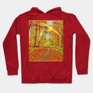 natureza harmonica Hoodie